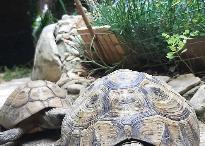 Lägenhet Paradise Garden